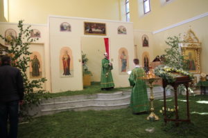 IMG_8749_новый размер